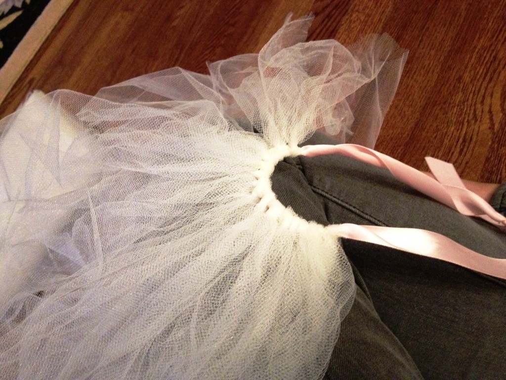 Hobby #2: Chicken Tutus