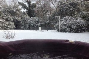 Snow Day! View of the yard from the hot tub.